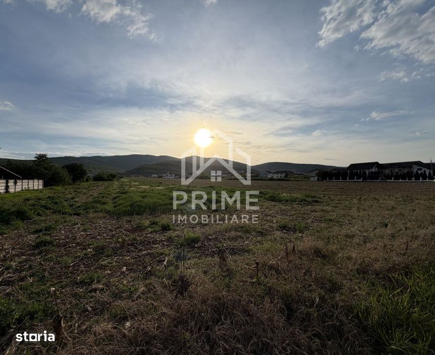 Teren Intravilan | 4088 Mp | Micești | Toate Utilitățile | Oportuni