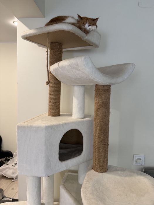 Продам игровой комплекс для кошек