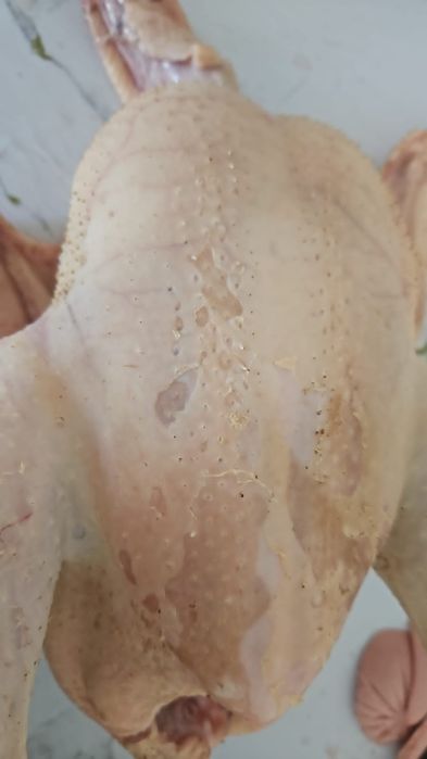 Мясо бройлера домашнего