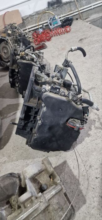 Aftamat karopka kareski