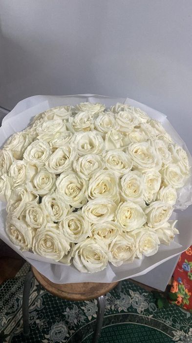 61 штук белые розы