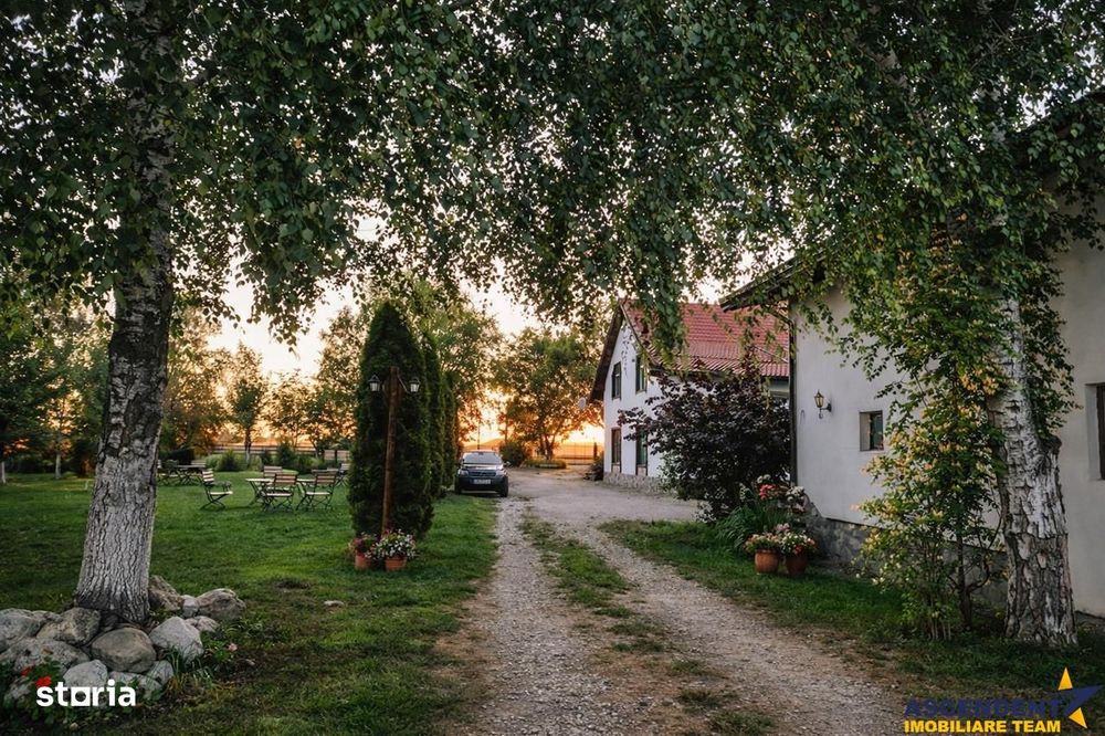 3D! La DN, Spatiu restaurant comercial activitati divertisment Halchiu