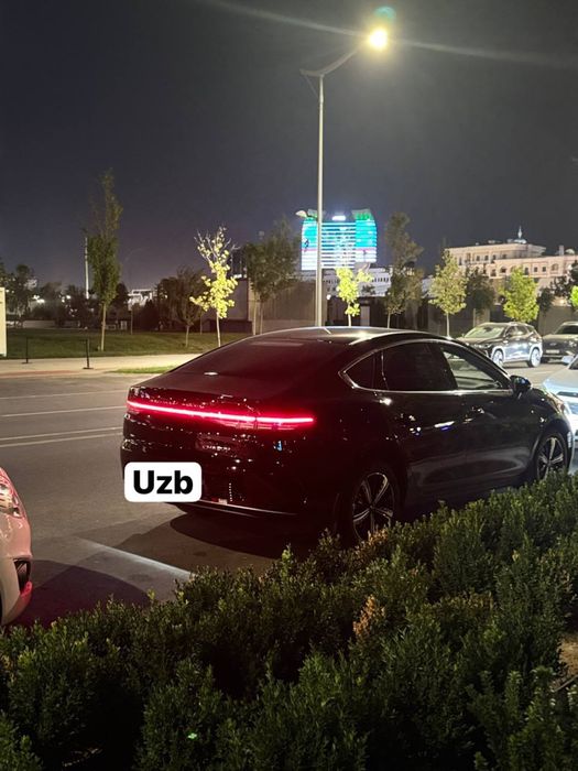 Chazor eng fulli 2025