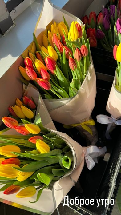 Тюльпаны ОПТОМ Кокшетау 400тг