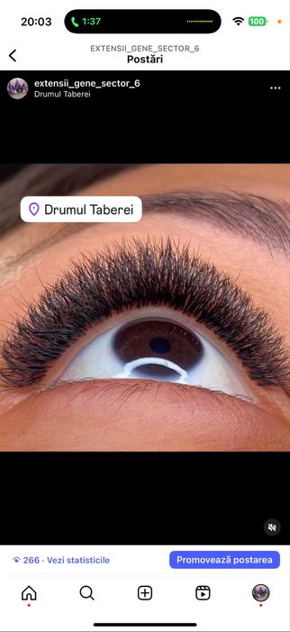 Gene false Dr taberei