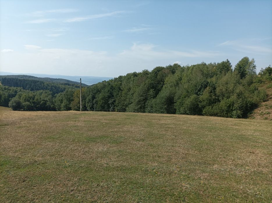 Vând 7500 mp teren in Șinteu