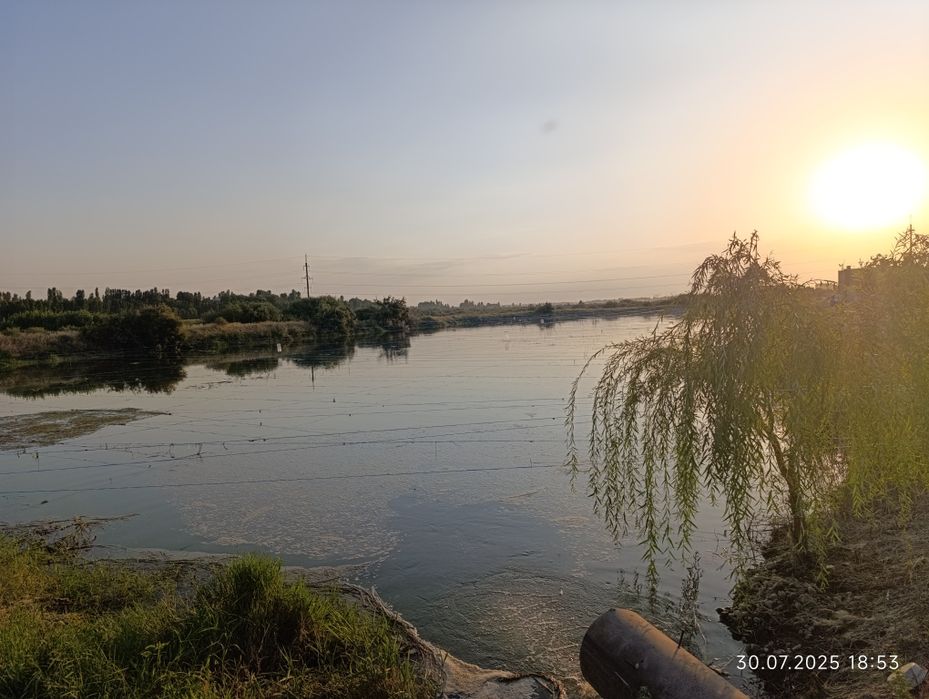 Ташморе, сув буйида 4 гектар