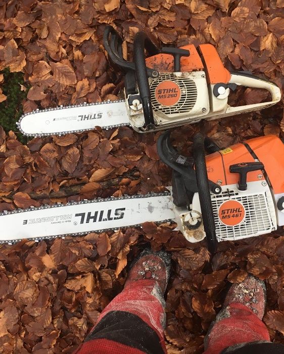 Taiere copaci, toaletare pomi, plop, brad, tei, nuc, cires, Pitesti