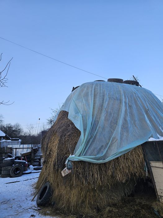 Vând stog de fân – calitate bună, nemucegăit (jud. Neamț)