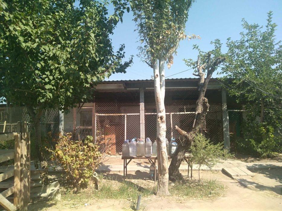 Продаётся дом в п. Талсуат