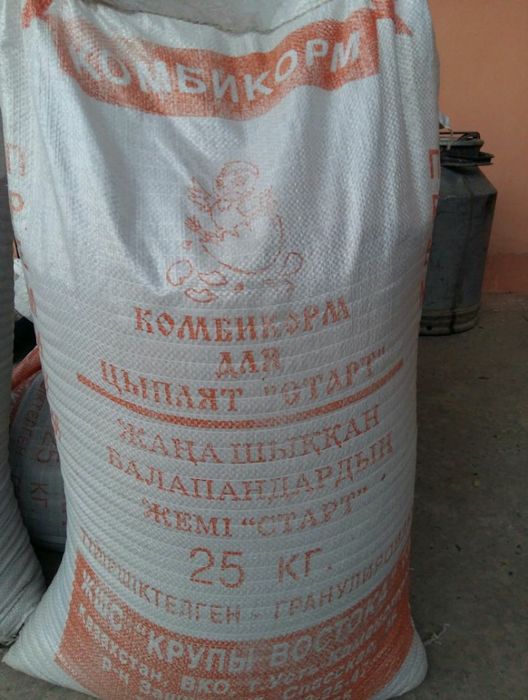 Жанадан шыккан балапандарга