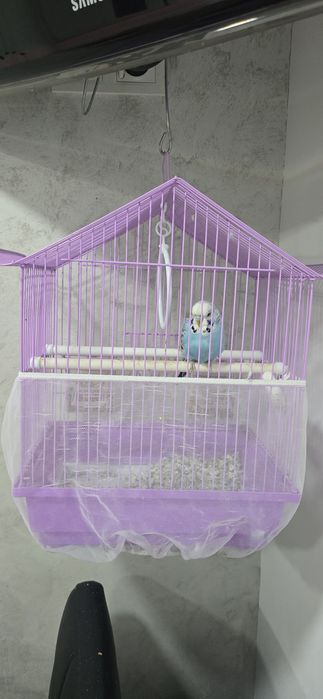 Cușcă/veliera peruși