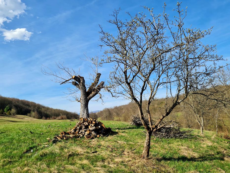 Proprietar vand casa+ teren 13000mp, Steia, Tomesti, jud. Hunedoara, 20km de Brad, 5km de Vata Bai