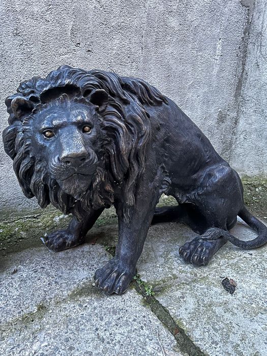 Lei***Bronz***Din.Mari