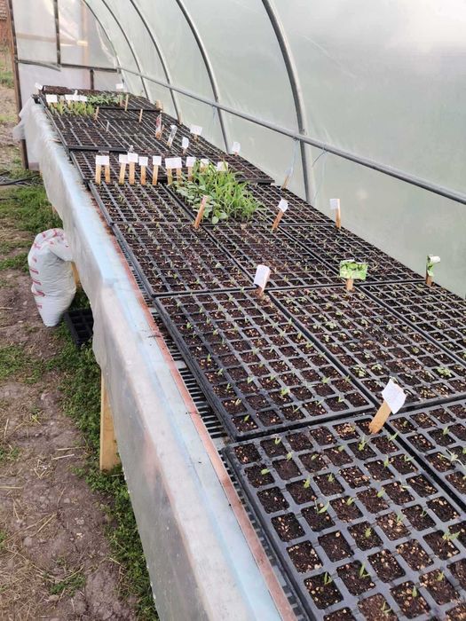 Икономично eл. отопление за разсад, парник , разсадник ,оранжерия !