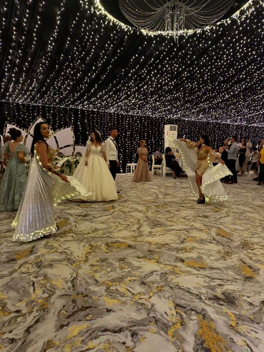 Dansatoare oriental (BELLY DANCE)