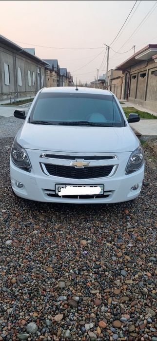 Cobilt 2025 metan bor