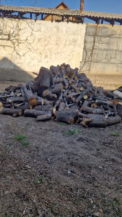 Продам дрова много