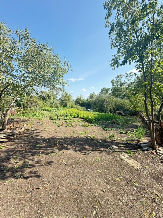 Дача, Щучинск, ул. Березовая