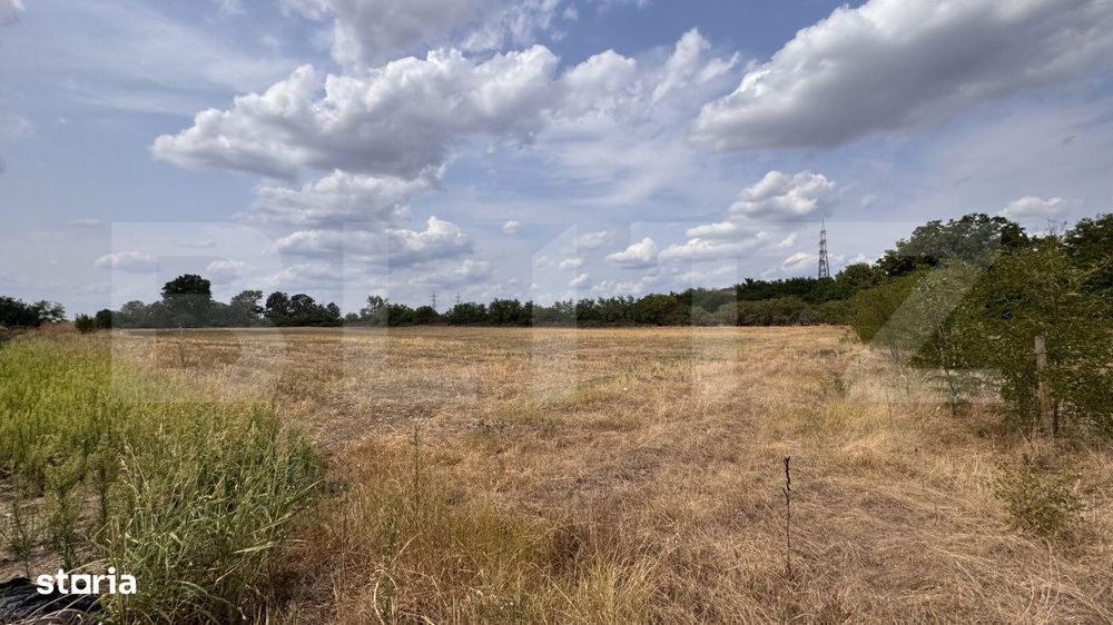Teren EV si IV cu casa, 29.600 mp, utilitati si acces facil, Albesti