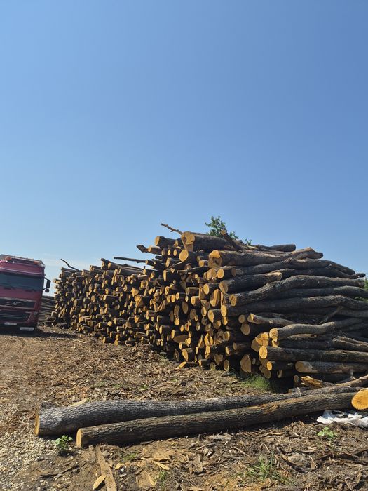 Depozit Tecuci vinde lemn de foc bustean sau prelucrat