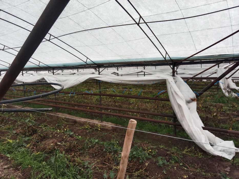 Issiq xona 4.5 sotix sotiladi