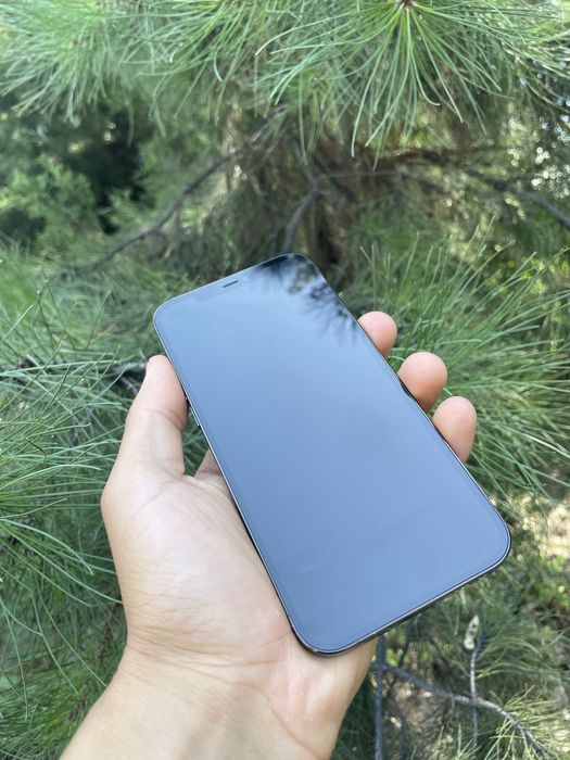 Iphone 12 pro max sikriti