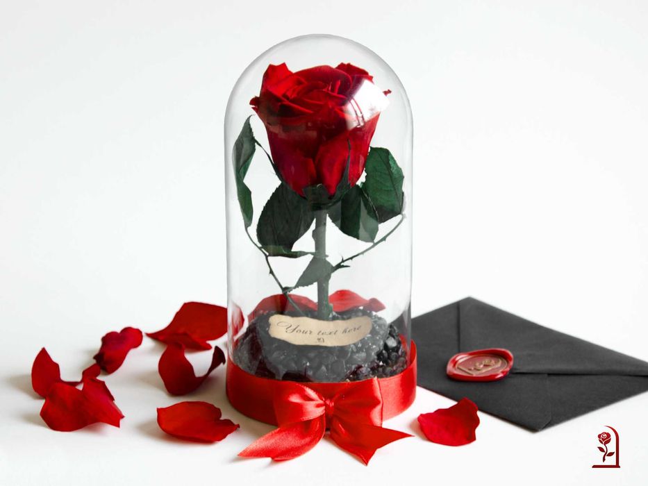 Естествена Вечна Роза в Стъкленица / Подарък за Годишнина за Съпругата