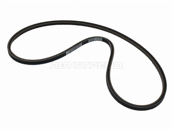 Ремень приводной Volkswagen Transporter