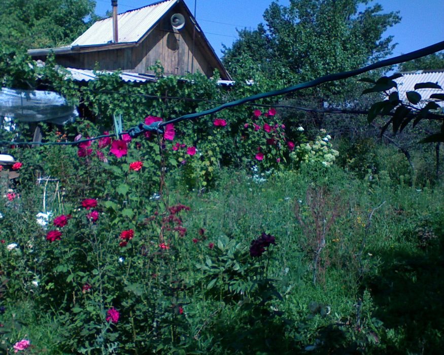 Продается дача на Чолдале