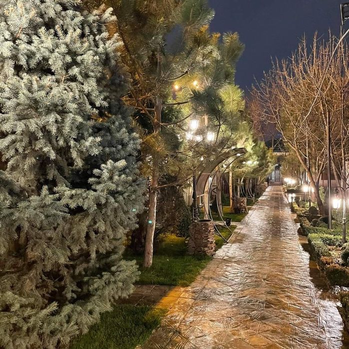 Николай гишт терамиза, шлифовка киламиза ремонт киламиза сифатли Тошке