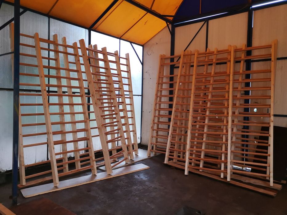 Spalier gimnastica cu 12 trepte, 200/80cm, lacuit