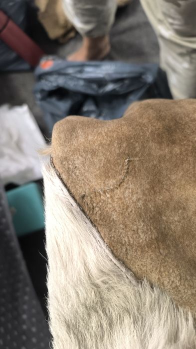 Дублёнка короткая