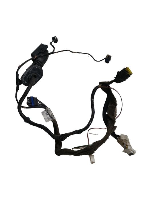 Instalatie Electrica Usa Dreapta Spate Renault Megane Ii Bm0/1_, Cm0/