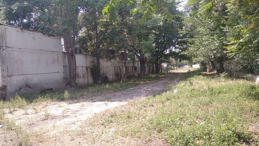 Сотилади 56 сотук