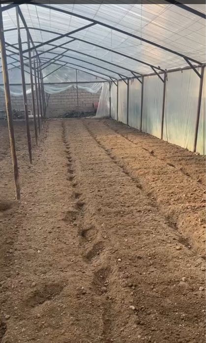 kultvator xizmati Freza dizel