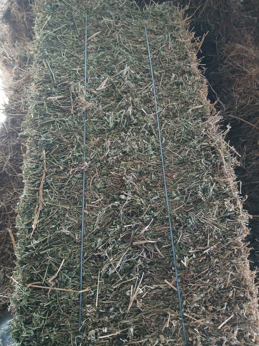 Vând ORZ  in comuna Gugesti