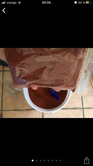 Hrana de calitate cu pigment . Tetra diskus