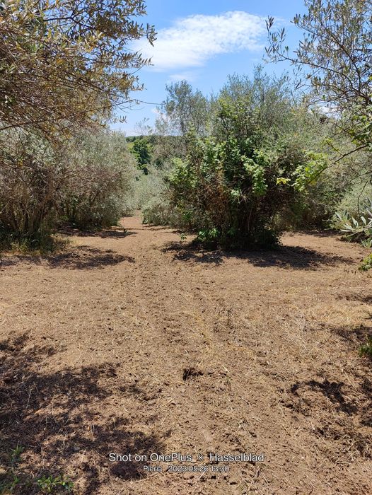 Продава се Парцел в София, ПЗ Хладилника - 2437 кв.м за 29 €/кв.м - Снимка #4