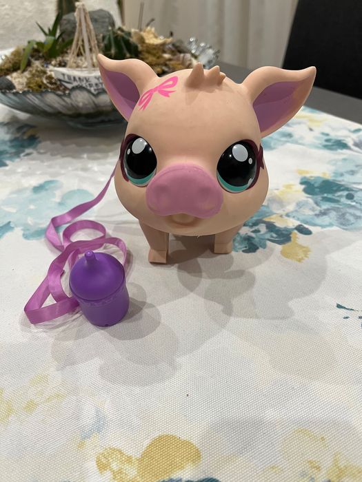 Прасенце Pet pig