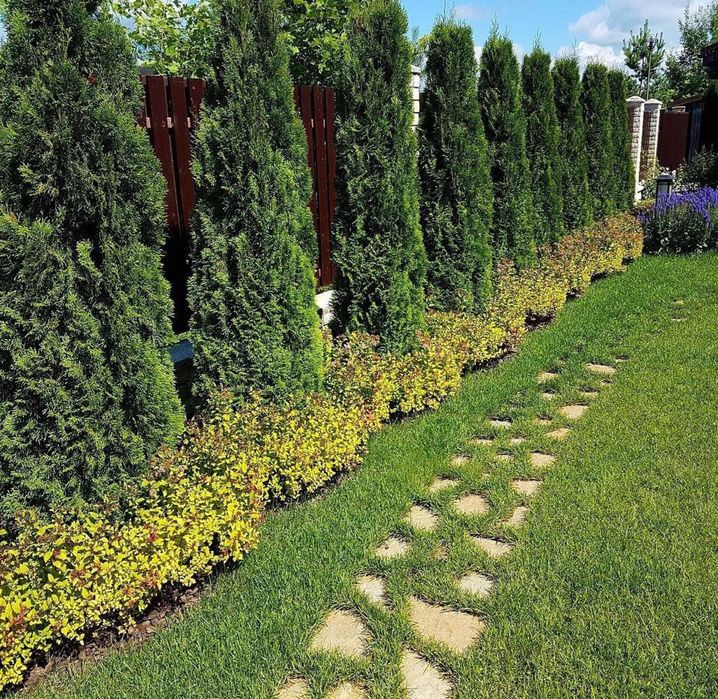 Газон, ландшафт, полиф киламиз тез ва арзон нархда