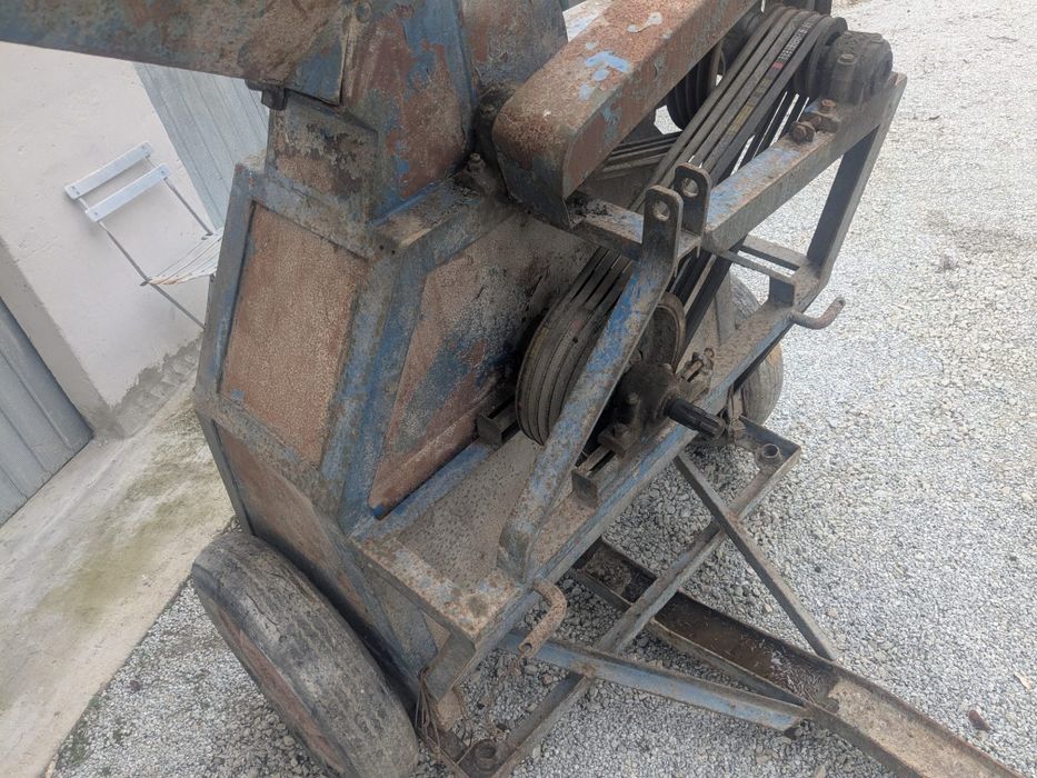Mori cereale și furaje