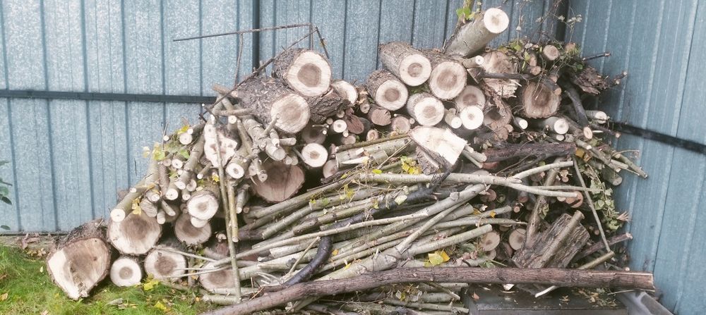 Продам Дрова Тополь