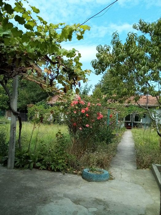 Дава се под наем Къща в Свищов - 150 кв.м за 153 € - Снимка #4