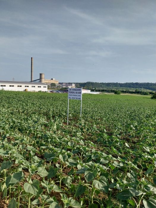*6400mp*Teren Intravilan.Burdujeni.Suceava.