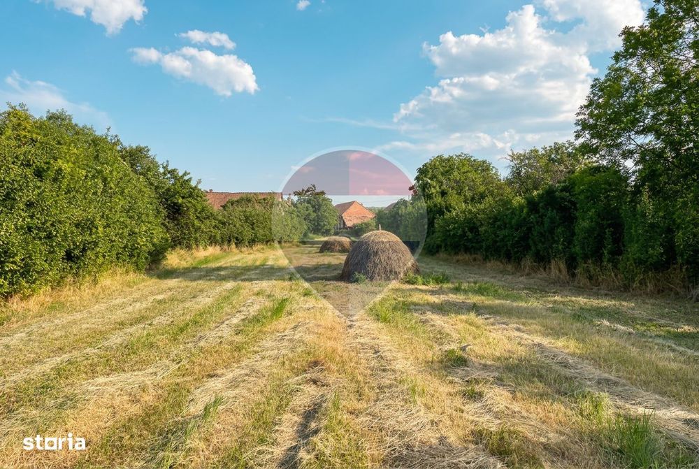 Casă 3 camere | Moldovenesti, Cluj | Mobilată complet