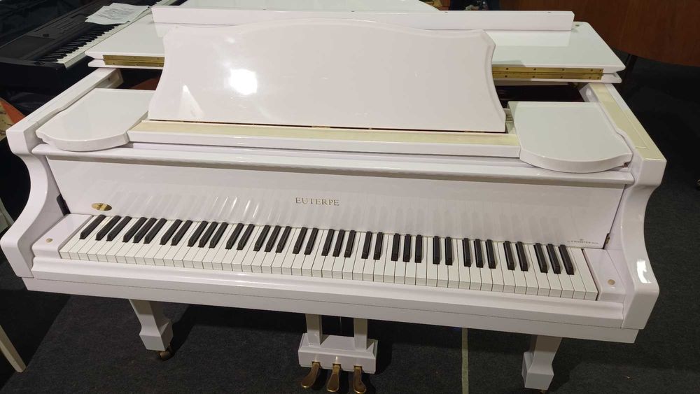 Vand pian Euterpe by C. Bechstein (ca nou)
