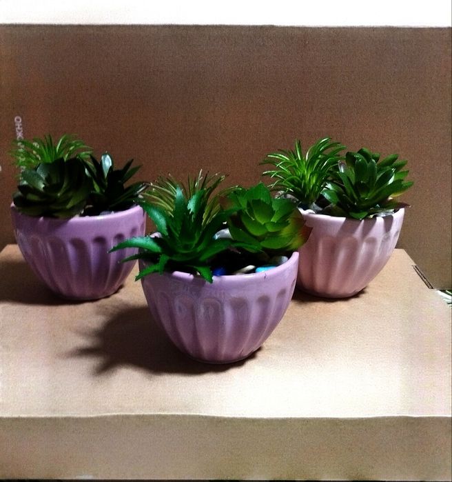 Продаю искусственные сакуленты в горшочке