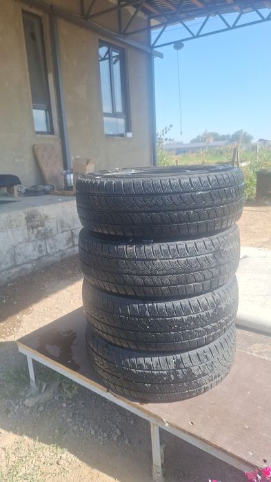 Бір кыс журген донгелек
