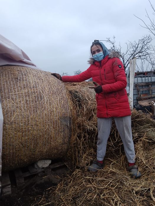 balot de paie, funcțional